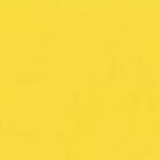 806-bright-yellow