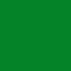 848-bright-green